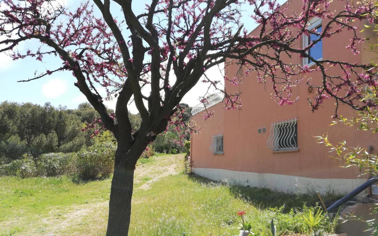 Studio 28M2 Climatise,Wifi, Proche Des Calanques,Plages La Ciotat Bagian luar foto