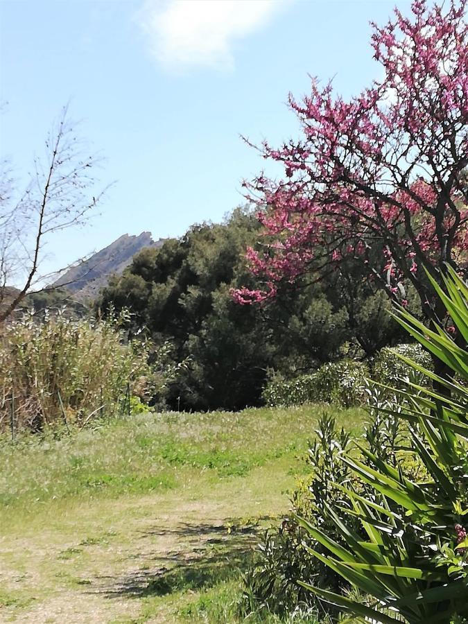 Studio 28M2 Climatise,Wifi, Proche Des Calanques,Plages La Ciotat Bagian luar foto