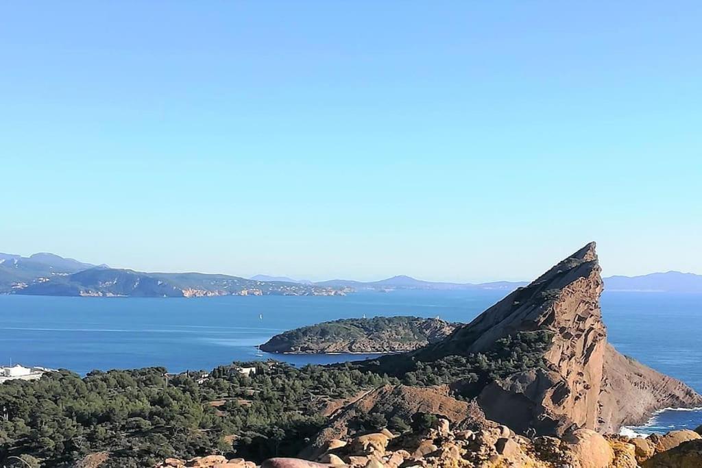Studio 28M2 Climatise,Wifi, Proche Des Calanques,Plages La Ciotat Bagian luar foto